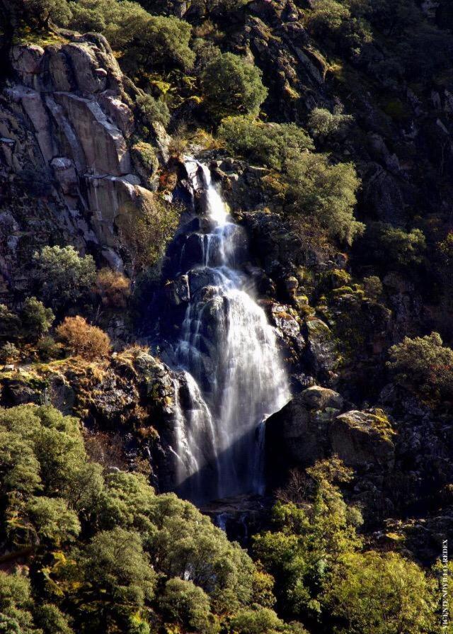 La Gargantilla Jerte Dış mekan fotoğraf
