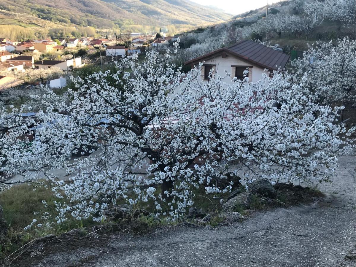 La Gargantilla Jerte Dış mekan fotoğraf