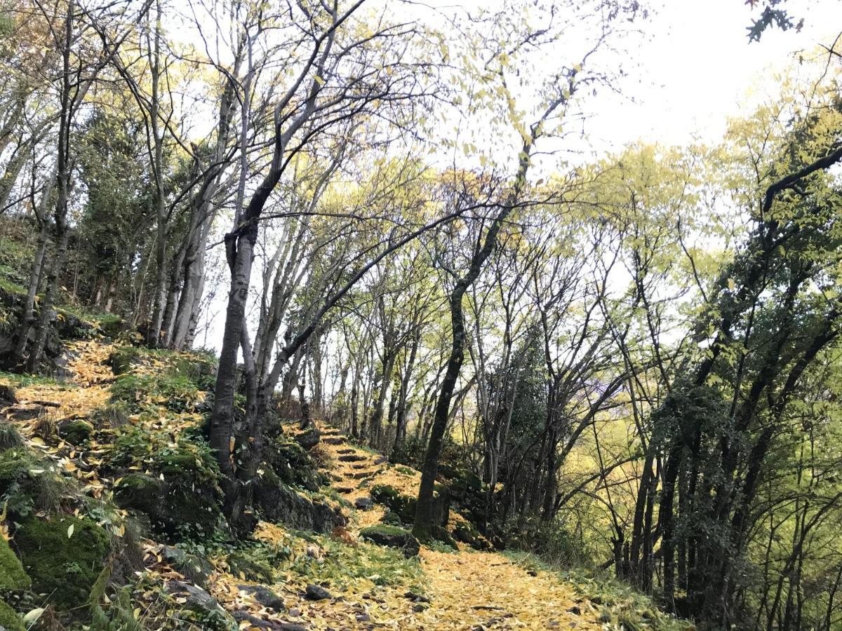 La Gargantilla Jerte Dış mekan fotoğraf