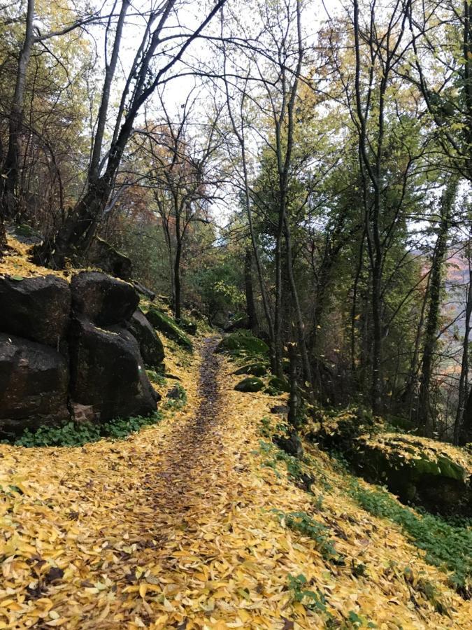 La Gargantilla Jerte Dış mekan fotoğraf
